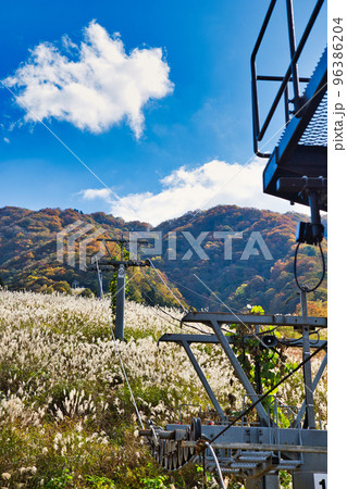 紅葉ー奥越・九頭竜 96386204