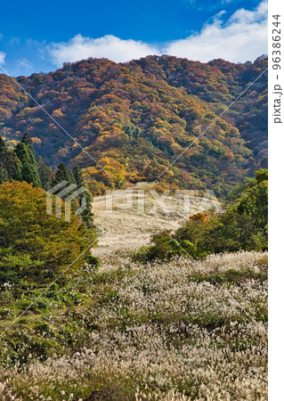 紅葉ー奥越・九頭竜 96386244