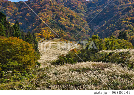 紅葉ー奥越・九頭竜 96386245