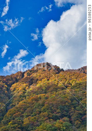 紅葉ー奥越・九頭竜 96386253