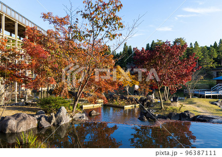 けいはんな記念公園「水景園」観月橋と池の縁を彩る紅葉&水面 けいはんな記念公園「水景園」観月橋と池の縁を彩る紅葉&水面 96387111
