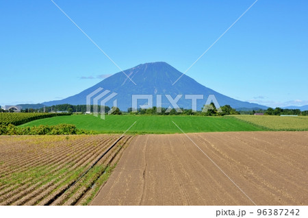夏の北海道　羊蹄山 96387242