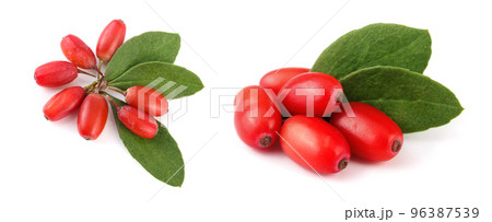 fresh barberry with leaves isolated on a white background. top view 96387539