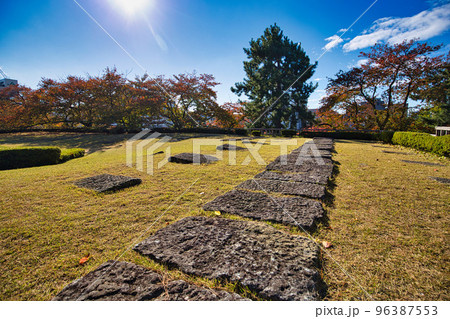 紅葉ー福井県庁 96387553