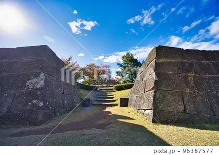 紅葉ー福井県庁 96387577