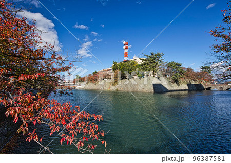紅葉ー福井県庁 96387581