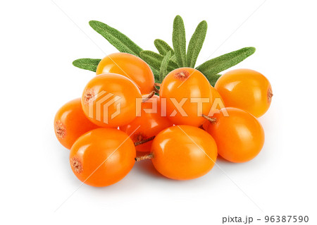Sea buckthorn. Fresh ripe berry isolated on white background macro 96387590
