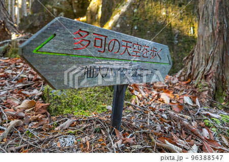千ヶ峰~笠形山、仙人ハイク縦走路 (兵庫県多可郡多可町)※作品コメント欄に撮影位置 千ヶ峰~笠形山、仙人ハイク縦走路 (兵庫県多可郡多可町)※作品コメント欄に撮影位置 96388547