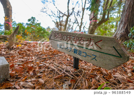 千ヶ峰～笠形山、仙人ハイク縦走路　（兵庫県多可郡多可町）※作品コメント欄に撮影位置 96388549