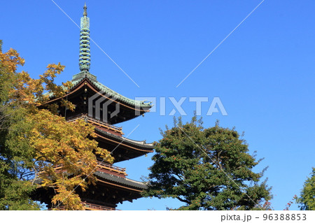 黄葉と五重塔 秋空に映える五重塔 日本の木造建築 歴史的建築物 黄葉と五重塔 秋空に映える五重塔 日本の木造建築 歴史的建築物 96388853