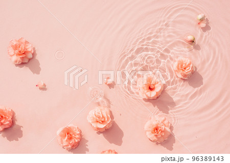 Summer background with pink roses in water with drops. Minimal natural abstract backdrop 96389143