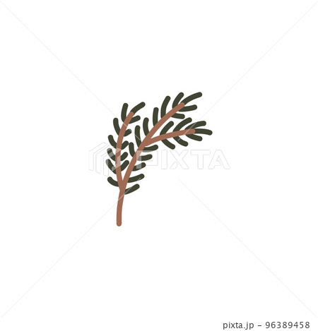 Hand drawn pine tree branch. Green lush spruce branch. Vector doodle illustration 96389458