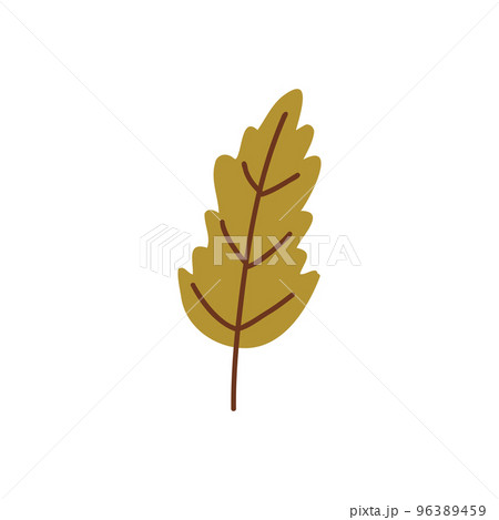 Autumn leaves. Foliage leaf silhouette. Forest vector illustration. 96389459