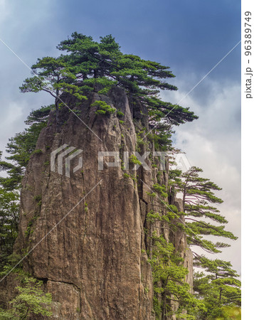 中国安徽省・黄山の奇岩と松の木 / Huangshan, China 96389749