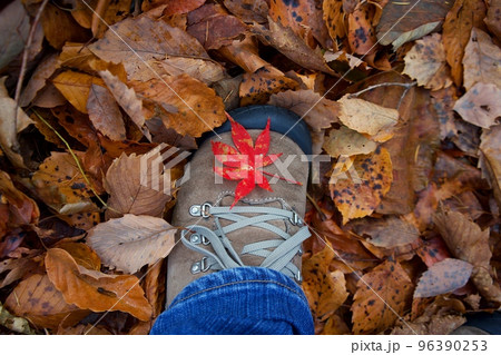 靴に乗った紅葉 96390253