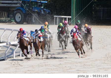 競馬 96391165