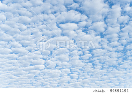 ひつじ雲　高積雲 96391192