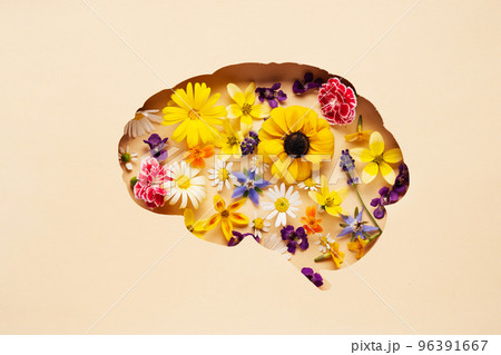 World mental health day concept. Brain symbol and flowers on a yellow background World mental health day concept. Brain symbol and flowers on a yellow background 96391667