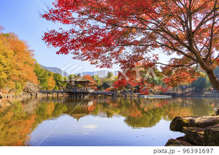紅葉真っ盛りの奈良公園浮御堂 96391697