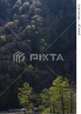 信州の山の照らす太陽の光と綺麗な風景 信州の山の照らす太陽の光と綺麗な風景 96391852
