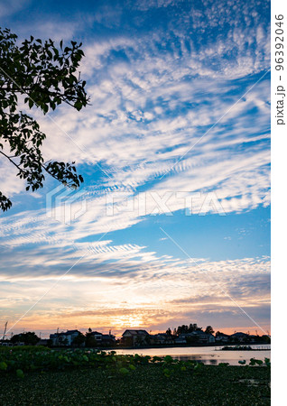 新潟 瓢湖の夕景 新潟 瓢湖の夕景 96392046