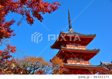 秋　清水寺　三重塔 96392375