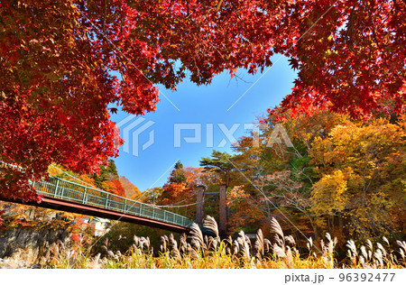 秋の紅葉に染まる塩原温泉と山ゆりの吊橋 秋の紅葉に染まる塩原温泉と山ゆりの吊橋 96392477