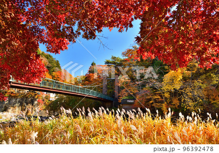 秋の紅葉に染まる塩原温泉と山ゆりの吊橋 96392478