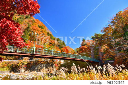 秋の紅葉に染まる塩原温泉と山ゆりの吊橋 秋の紅葉に染まる塩原温泉と山ゆりの吊橋 96392565