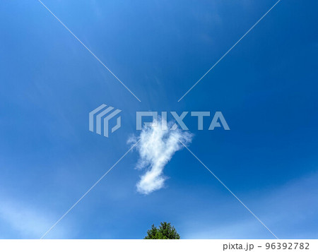 木の上の素晴らしい「y」~6月の空~ 木の上の素晴らしい「y」~6月の空~ 96392782