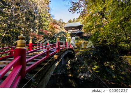 雲巌寺の山門（秋） 96393237