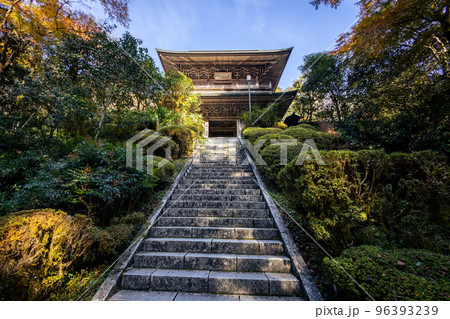 雲巌寺の山門（秋） 96393239