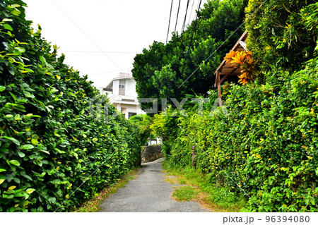 いしまち通り(沖縄県那覇市)【2022.11】 96394080