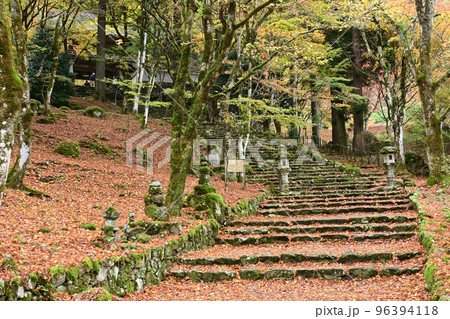 錦秋の兵庫県丹波市 高源寺の石段参道 錦秋の兵庫県丹波市 高源寺の石段参道 96394118