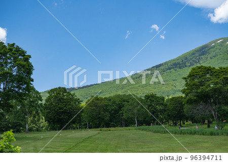笹ヶ峰高原の牧草地から眺める妙高の山 96394711