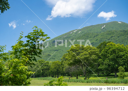 初夏の青空と日光が眩しい笹ヶ峰高原 96394712