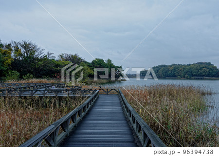 溜池に雨が降る 溜池に雨が降る 96394738
