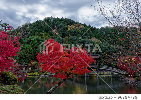 多治見市永保寺の紅葉 多治見市永保寺の紅葉 96394739
