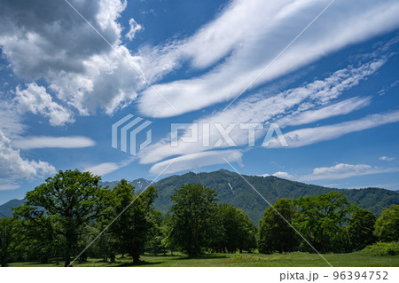 雄大な夏の雲と妙高の山々(笹ヶ峰高原) 96394752