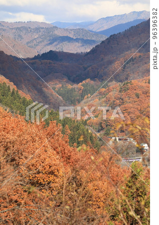 藤原ダム 宝川温泉 紅葉 藤原ダム 宝川温泉 紅葉 96396382