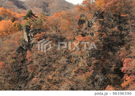藤原ダム 宝川温泉 紅葉 藤原ダム 宝川温泉 紅葉 96396390