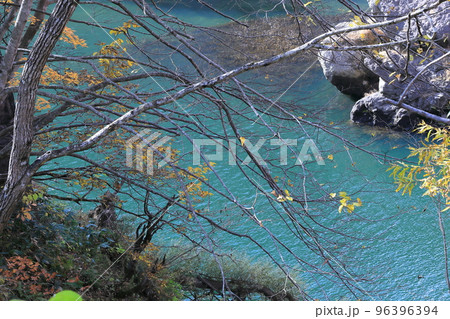 藤原ダム　宝川温泉　紅葉 96396394