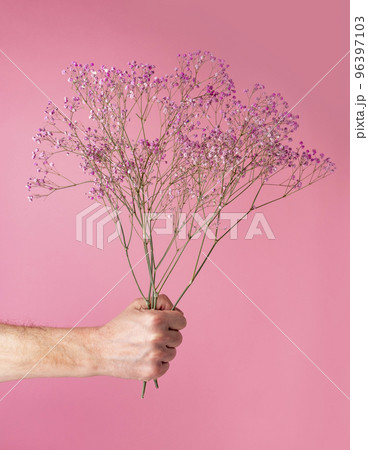 Hand holding dried flowers bouquet on pink background. Flowers to gift. Valentines day concept Hand holding dried flowers bouquet on pink background. Flowers to gift. Valentines day concept 96397103