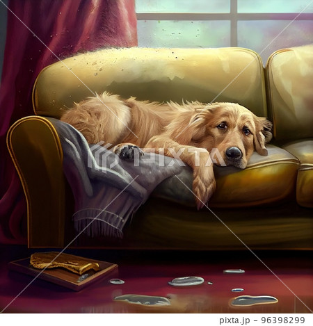 A dog wet after the rain with dirty paws jumped on the sofa and lies contented A dog wet after the rain with dirty paws jumped on the sofa and lies contented 96398299