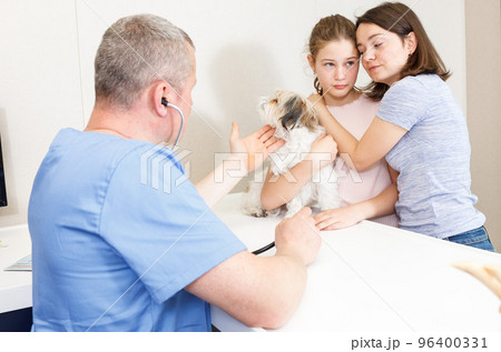 Concerned family with dog consulting by veterinarian 96400331