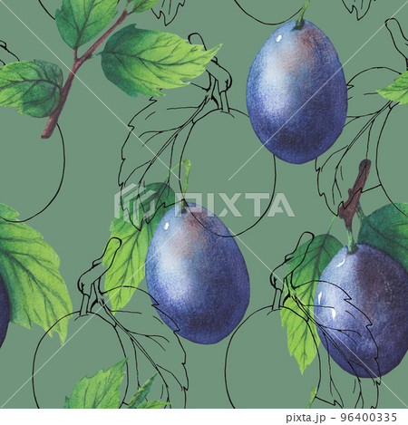 Pattern of watercolor plum tree branches with green leaves and fruits. Pattern of watercolor plum tree branches with green leaves and fruits. 96400335