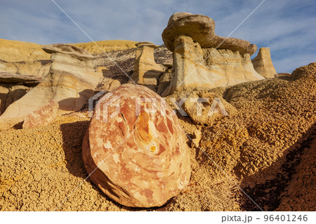 Bisti Bisti 96401246