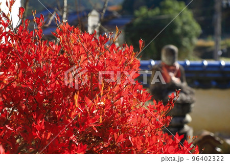 お地蔵様とドウダンツツジ 96402322