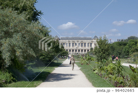 パリ5区にあるヴァリュベール広場から見た真夏の「パリ植物園」大広場の風景(景色) パリ5区にあるヴァリュベール広場から見た真夏の「パリ植物園」大広場の風景(景色) 96402665