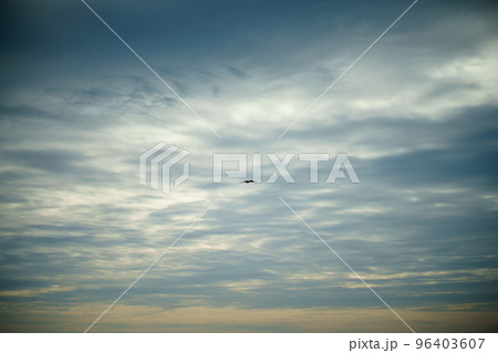夕暮れの空に舞う1羽の鳶 96403607